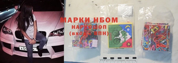 сатива Богданович