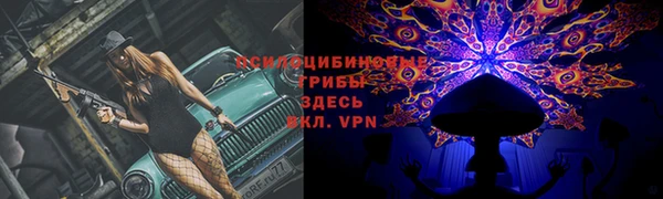 сатива Богданович