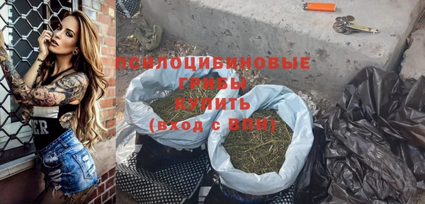 сатива Богданович