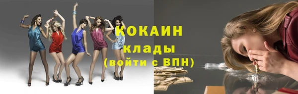 сатива Богданович