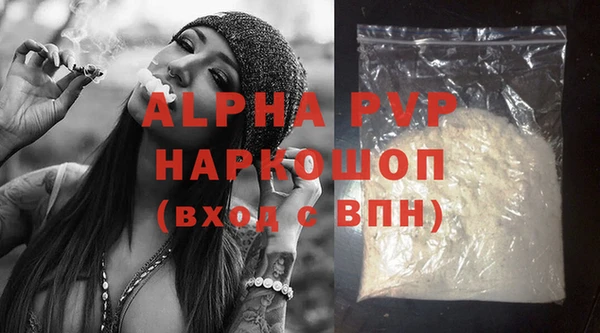 сатива Богданович