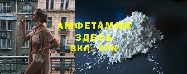 сатива Богданович