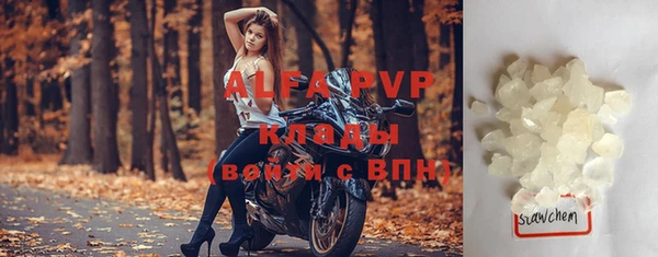 сатива Богданович
