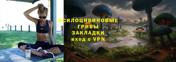 марки nbome Богородицк