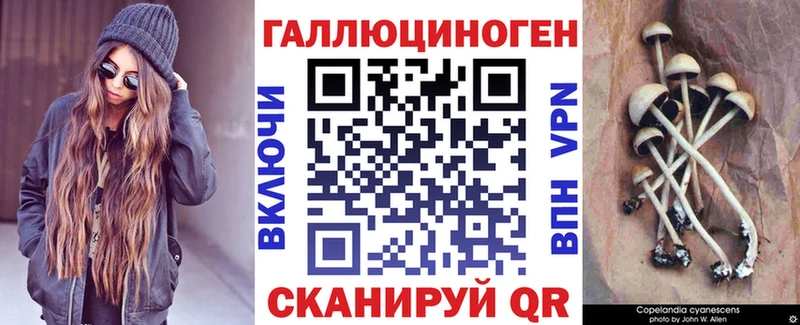 Галлюциногенные грибы Cubensis Купить закладки Новоалександровск
